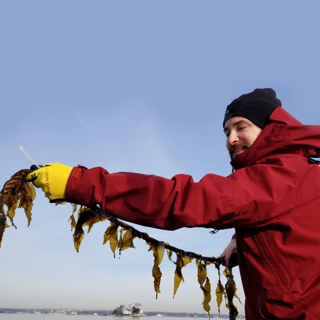 Upwell Coffee SciProf Advising - 15 Minute Assessment (Voluntarily Paid)