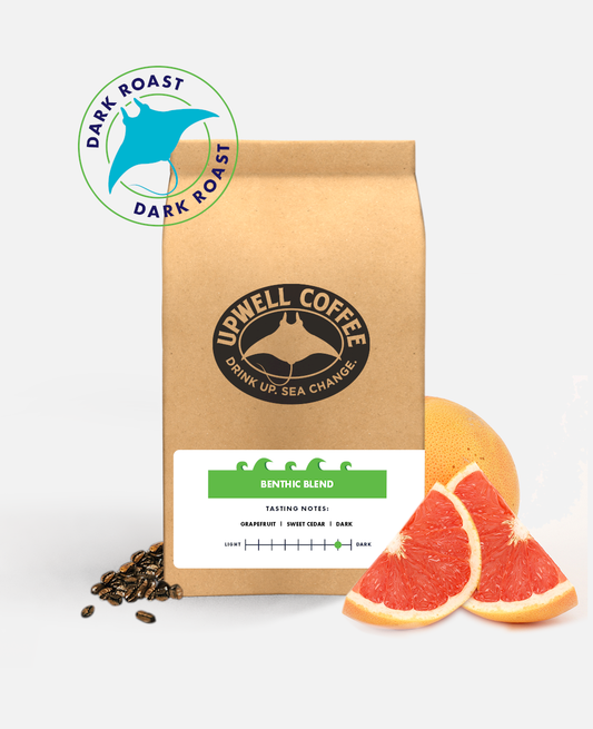 BENTHIC BLEND DARK ROAST™ Explore the bold depths of coffee with a twist of grapefruit acidity