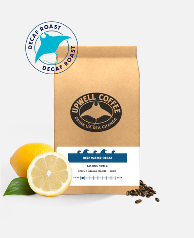DEEP WATER DECAF™ SUBSCRIPTION<br>All the nutrients without the caffeine