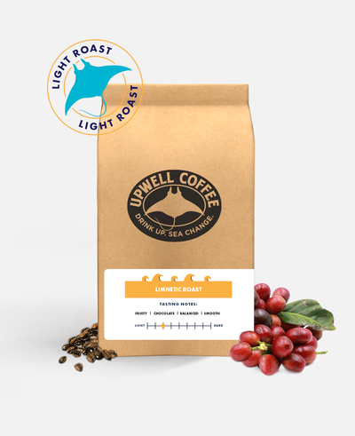 LIMNETIC LIGHT ROAST™ SUBSCRIPTION<br> Plenty of caffeine on the surface for a fruity morning kick